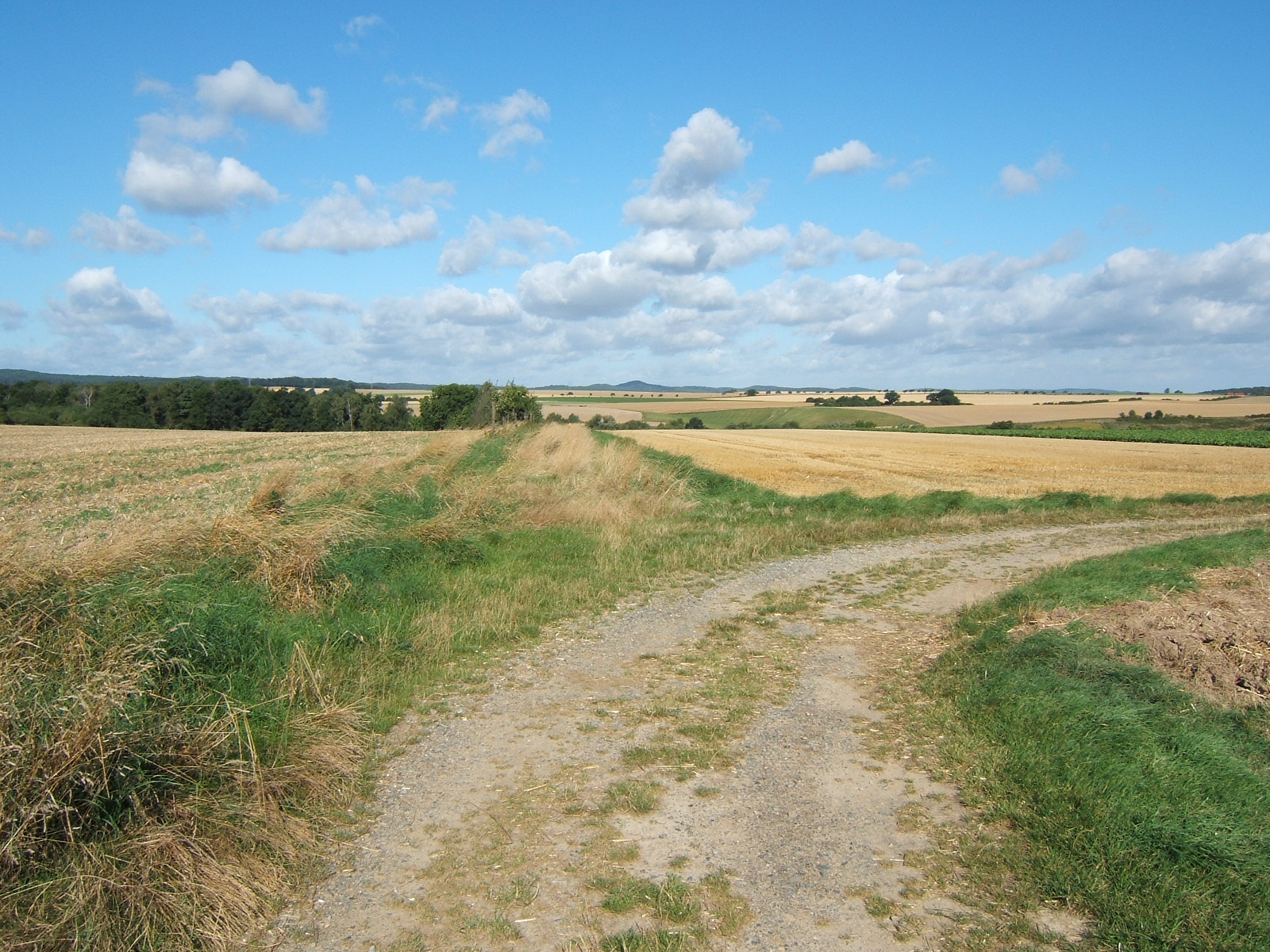 Ein historisches foto zeigt uns das Gelnde vor der Anpflanzung der vielen Obstbume im Jahr 2008.