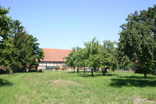 Alte Streuobstwiese
