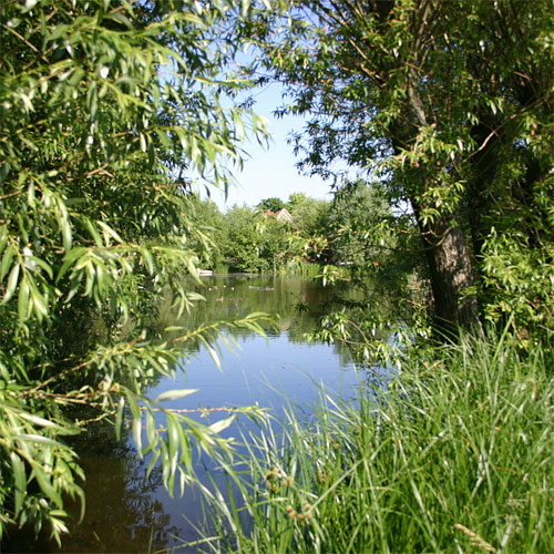 Der Loeperteich am westlichen Ortsrand
