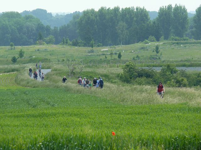 In schner Natur bei gutem Wetter