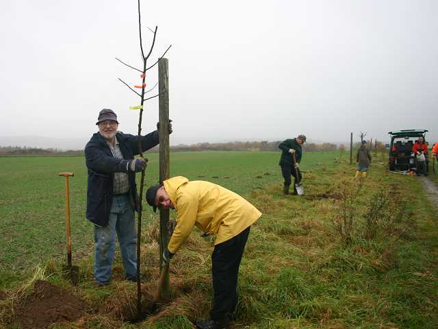 Bernd Weber und Rolf Wedde pflanzen am 03.11.2007 einen Baum am Schierksmhlenweg
