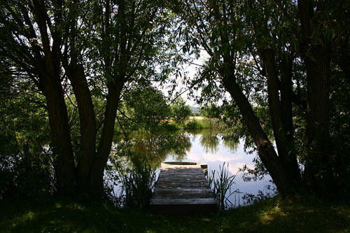 Der Loeperteich
