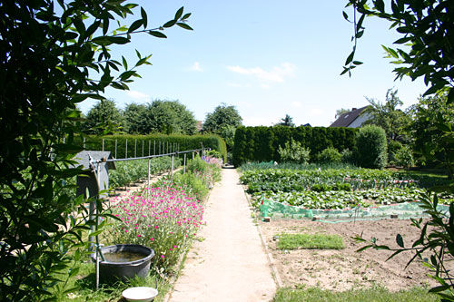 Nutzgarten