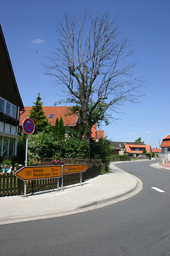 Eine der vielen Kurven in Beuchte... 